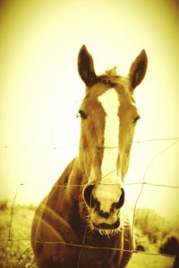 Close-up of sculpture on wall