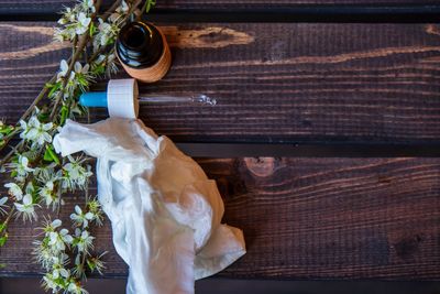 Close-up of potted plant on table