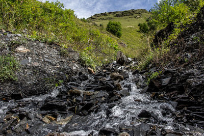 Scenic view of waterfall in forest