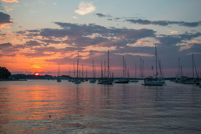 Sailboats in marina at sunset