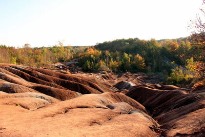 Scenic view of landscape against clear sky