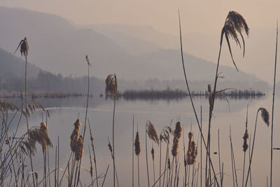 Scenic view of lake against sky