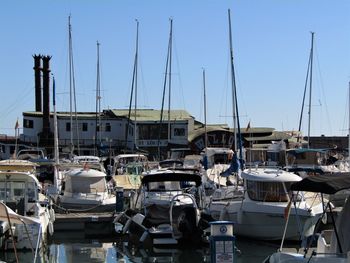 Sailboats moored at harbor against clear sky