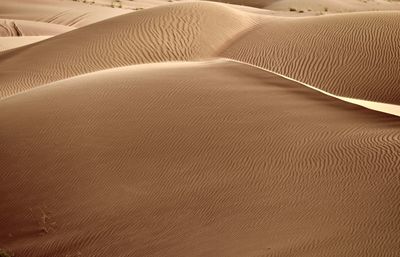 Sand dunes in desert