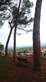 Trees on landscape against sky
