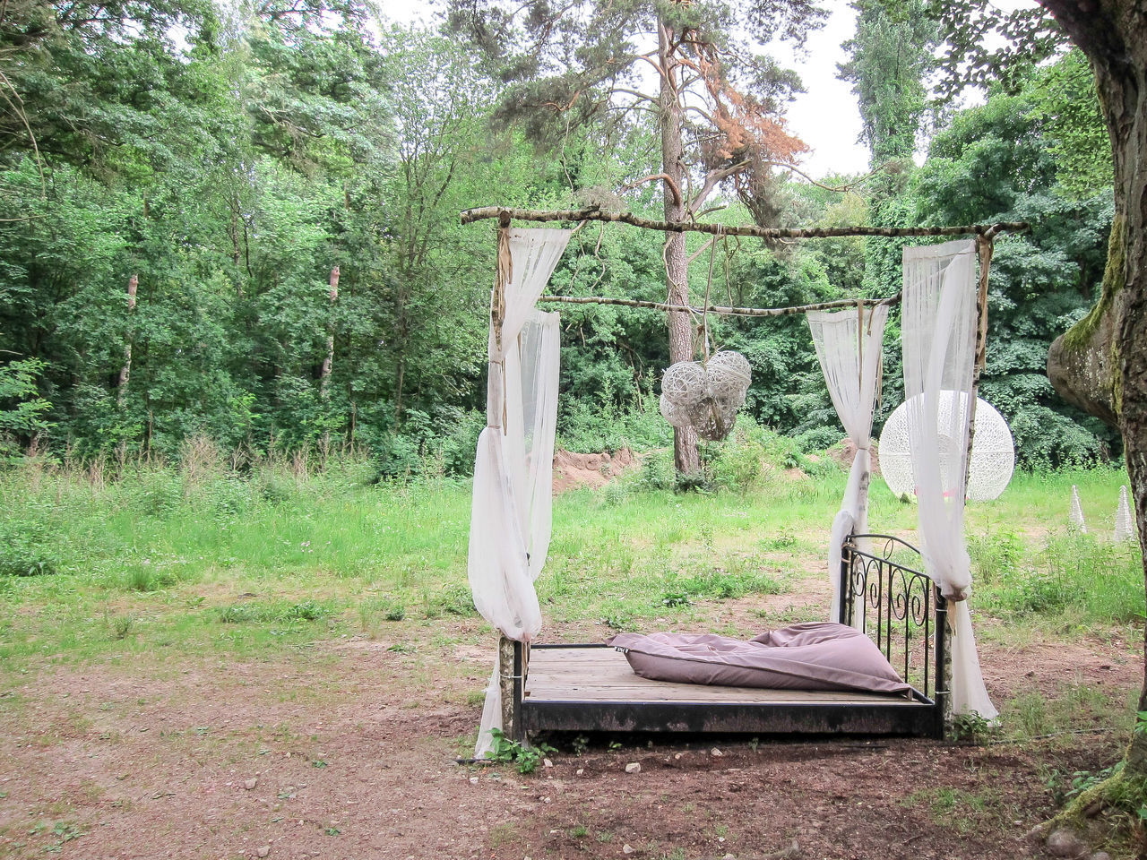 EMPTY BENCH IN FOREST