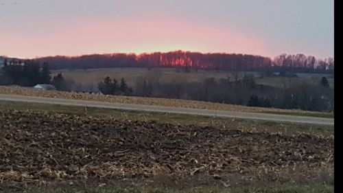 Scenic view of field against sky