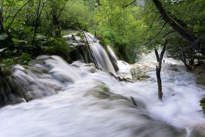 Scenic view of waterfall in forest