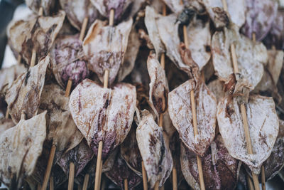 Close-up of dried fish for sale in market