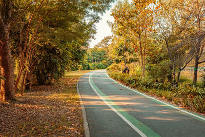 Road amidst trees during autumn