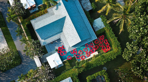 High angle view of text on tree against building