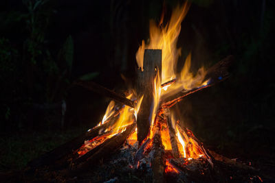 Bonfire on wooden log at night