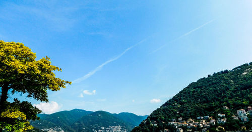 Scenic view of tree mountains against blue sky
