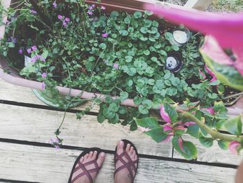 High angle view of woman relaxing on wooden floor