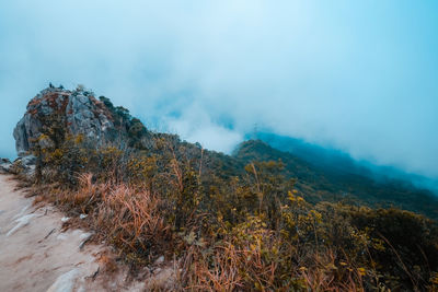 Hong kong city seen from lion rock peak