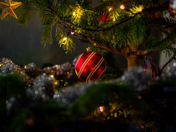 Close-up of bauble hanging on tree