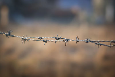 Close-up of barbed wire against sky