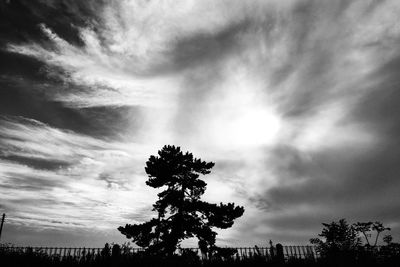 Low angle view of silhouette trees against sky