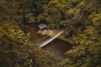 A man-made bridge in nature