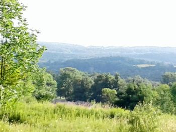 Scenic view of green landscape against clear sky