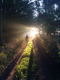 Man walking on footpath amidst trees in forest