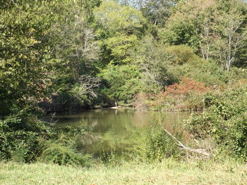 Scenic view of lake