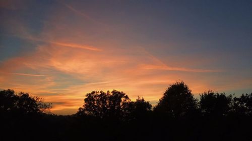 Silhouette of trees at sunset