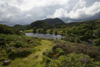 Scenic view of lake and mountains against sky