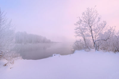 Scenic view of lake by trees against sky