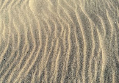 Full frame shot of sandy beach