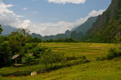 Scenic view of agricultural field against sky