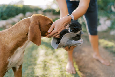 Cropped hand holding dog