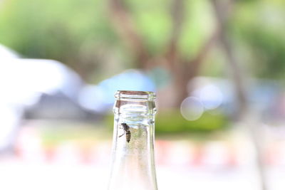 Close-up of glass bottle against blurred background