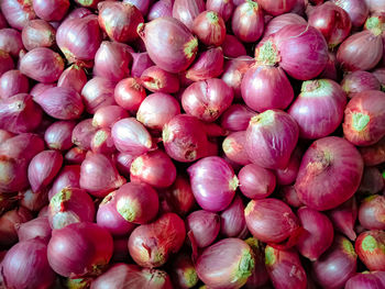 Full frame shot of red onions