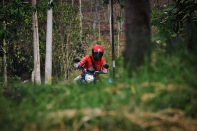 Man riding motorcycle in forest