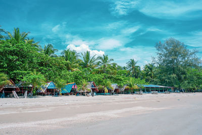 Palm trees on beach against sky
