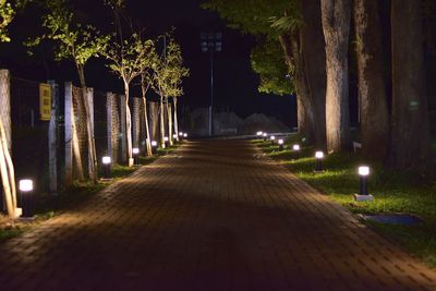Empty footpath in park at night