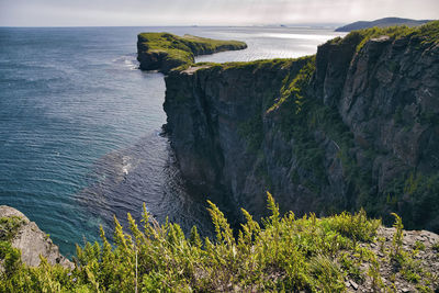 Scenic view of sea