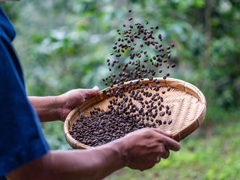 Midsection of man holding coffee bean