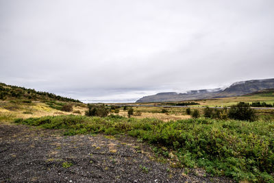 Scenic view of field against sky