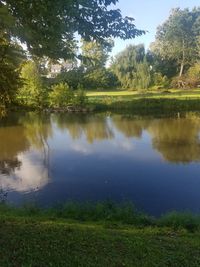 Reflection of trees in lake