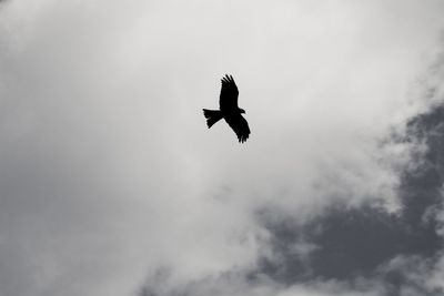 Low angle view of silhouette bird flying against cloudy sky