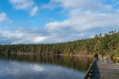 Scenic view of lake by trees against sky