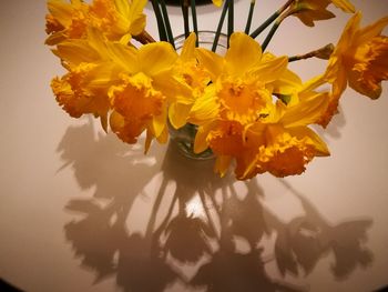 Close-up of yellow flowers against the sky