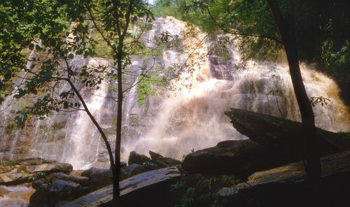 Panoramic view of waterfall in forest