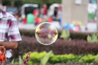 Close-up of bubbles against blurred background