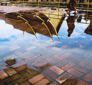 Low section of woman standing on water