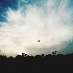 Low angle view of trees against sky