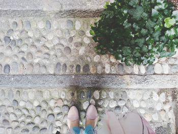 Low section of person standing on tiled floor