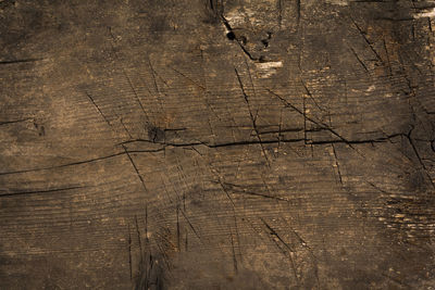 Full frame shot of weathered wooden plank